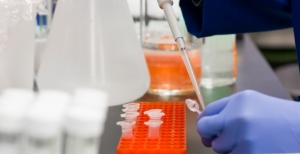 Detetados mais casos de cancro de pele em doentes tratados com mebutato de ingenol