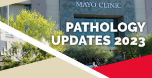 Inscrições abertas: Curso Pathology Updates 2023