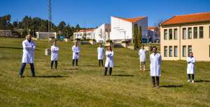 O papel das macroalgas na regeneração da pele